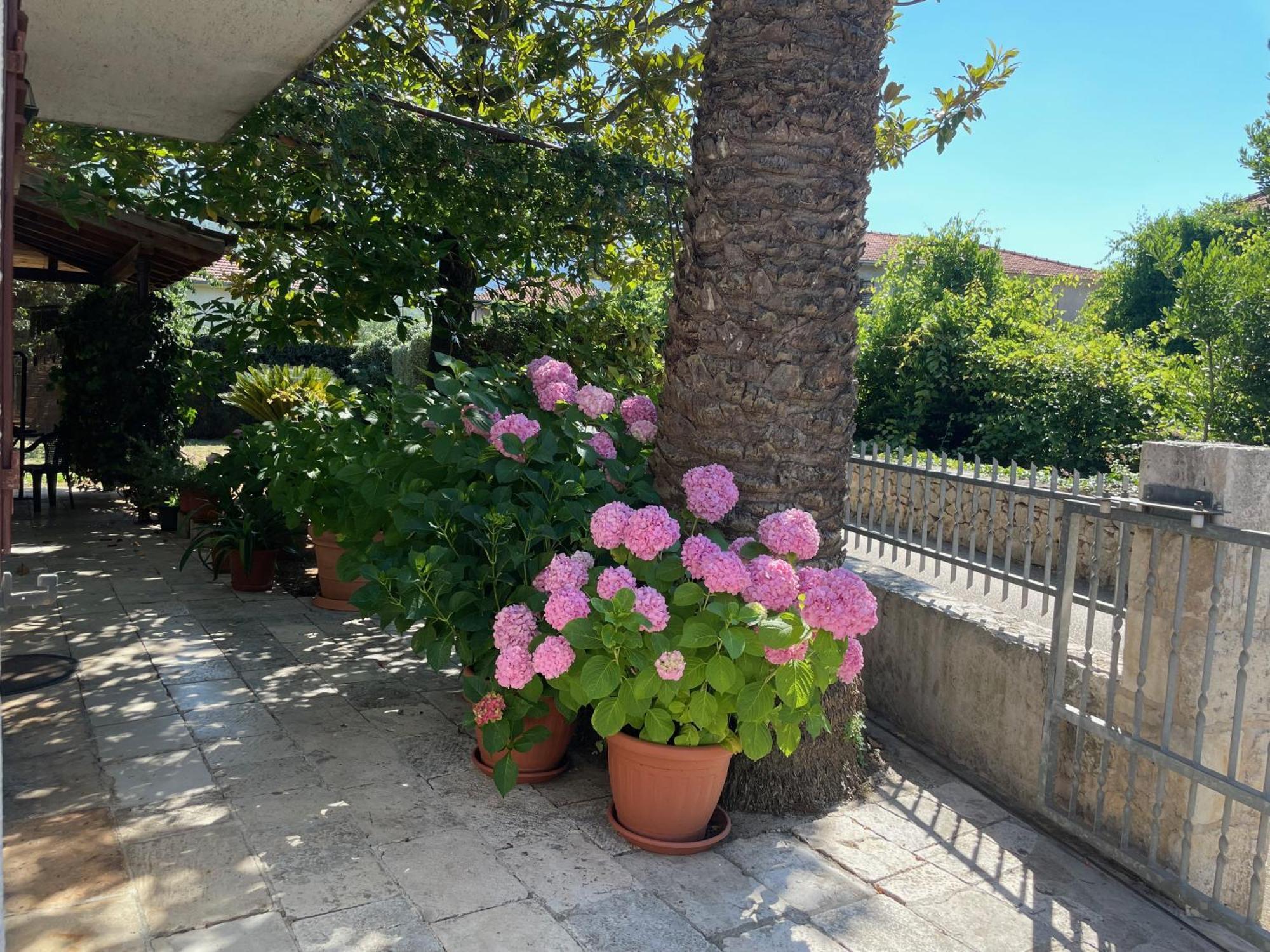 Hvar Guesthouse - Double Bedroom With Private Bathroom Jelsa (Hvar) Exterior foto
